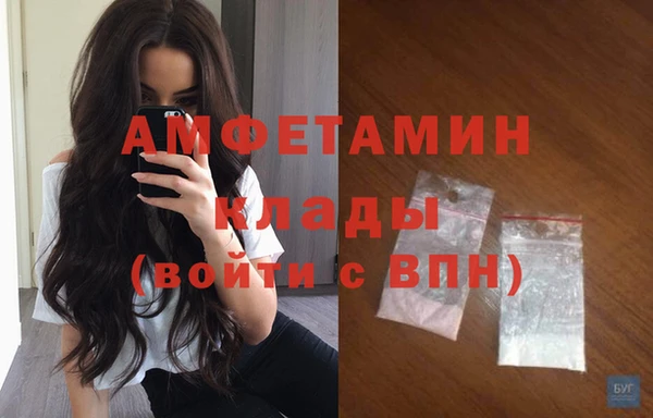 прущие грибы Алексеевка