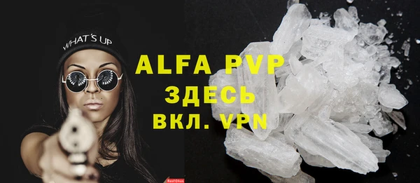 хмурый Аркадак
