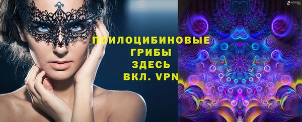 крисы Алексин