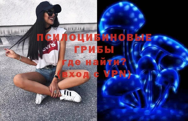 хмурый Аркадак